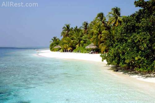Vilamendhoo Island Resort 9